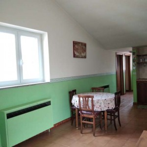 l'Aquila fittasi stanza