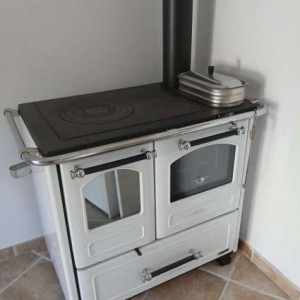 Vendesi stufa a legna