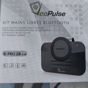 Vivavoce x auto