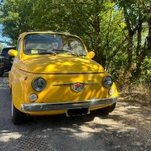 FIAT Benzina del 1960
