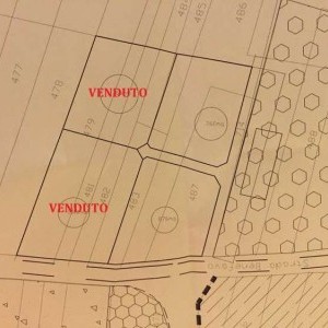 CAVALLETTO D'OCRE