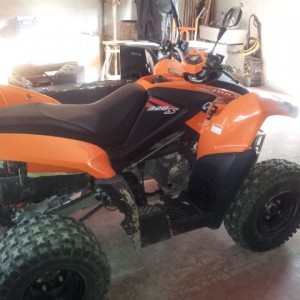 Vendo Quad Andly 320s del 2011 2000 Km percorsi