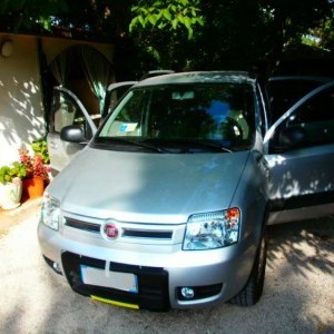 FIAT Benzina del 2011