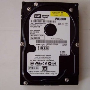 Hard disk Western Digital 80Gb SATA o IDE