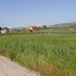 Vasto - Terreni agricoli