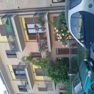 l'aquila