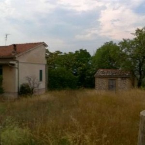 abitazione di 130 mq con sito di 4.000 mq offerti in vendita.