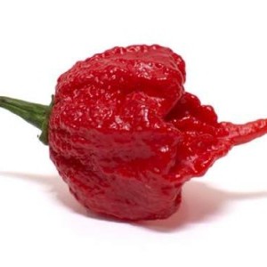 PEPERONCINI  SUPERHOT