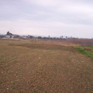 giulianova