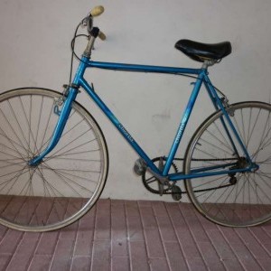 bici da uomo