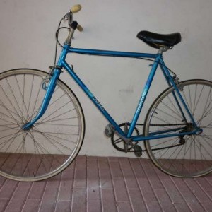 bici da uomo