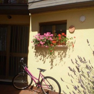 appartamentino indipendente in Arischia AQ