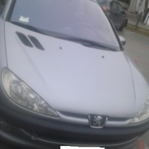 PEUGEOT 206 1.1 5 Porte GPL