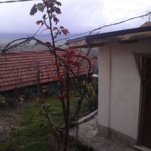 Celano