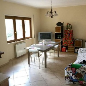 PETTINO, AFFITTASI