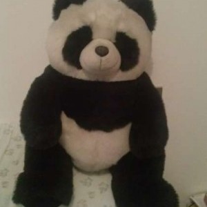Panda péluche