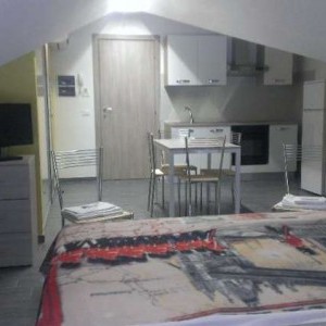 DISPONIBILITA' MONOLOCALE VIALE DELLA CROCE ROSSA 229