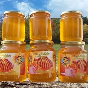 Miele millefiori di montagna