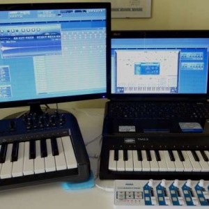 midi controller  korg  kontrol prima serie. terratec midi keyboard 4 ottave