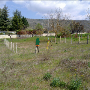 TERRENO EDIFICABILE