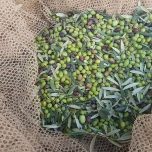 OLIO EXTRAVERGINE DI OLIVA