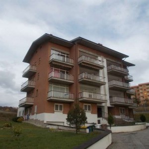 Appartamento arredato affittasi
