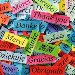 Lezioni private lingue straniere