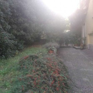 Pizzoli