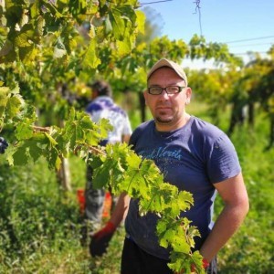 RICERCA DI LAVORO