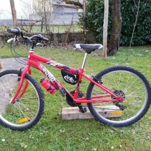 Bicicletta 24