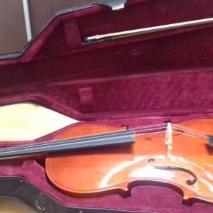 vendo violoncello 4/4 Gear music student