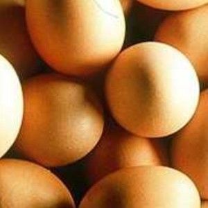 Uova da allevamento a terra