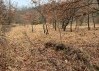 Tartufaia naturale a 7 km da L'Aquila