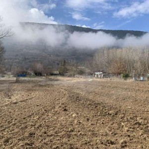 Terreno agricolo irriguo pianeggiante