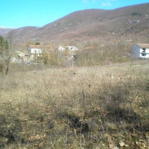 terreni edificabili ed agricoli