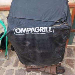 Barbecue a Carbonella