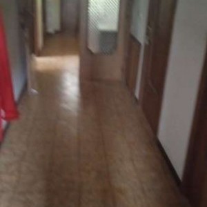 Camere
