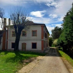 Grande porzione di casa indipendente nel verde