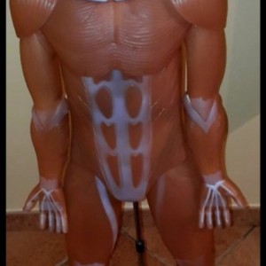 Corpo Umano