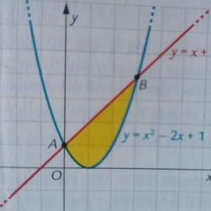 MATEMATICA SUPERIORI INDIVIDUALE