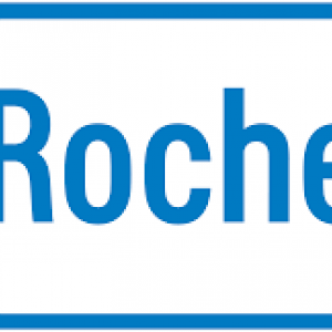 Posti vacanti a tempo pieno/tirocinio