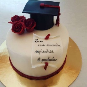 TESI TESINE ELABORATI SCRITTI AIUTO UNIVERSITARIO PER STUDENTI IN DIFFICOLTA'