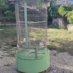 Gabbia x canarini